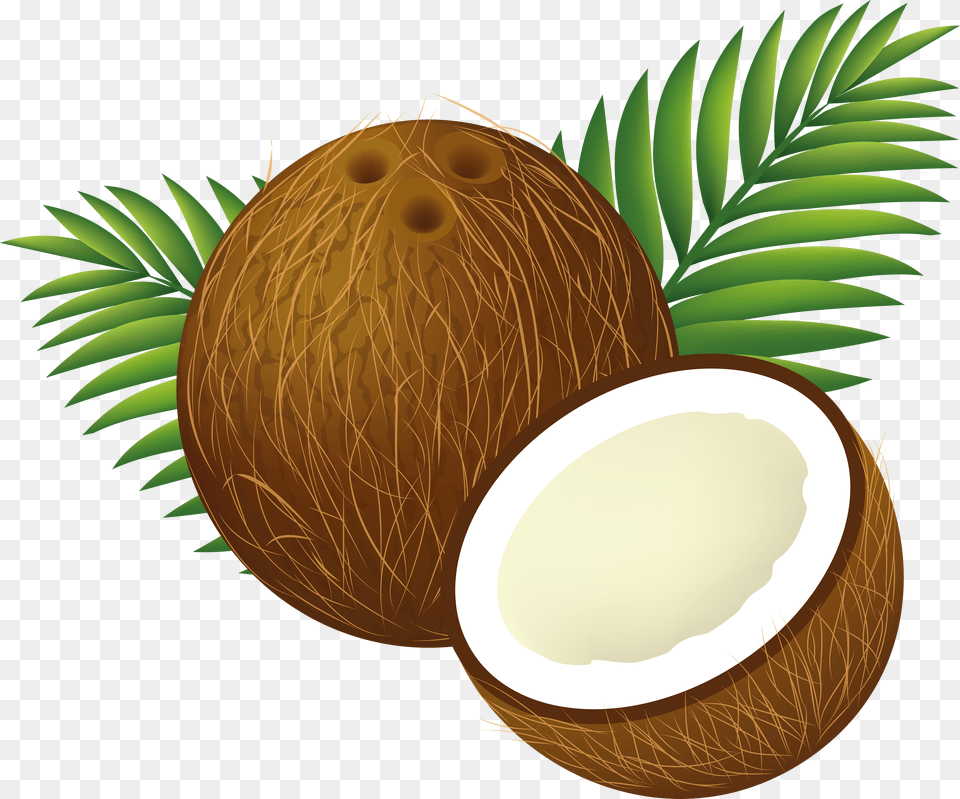 Coconut, Food, Fruit, Plant, Produce Free Png