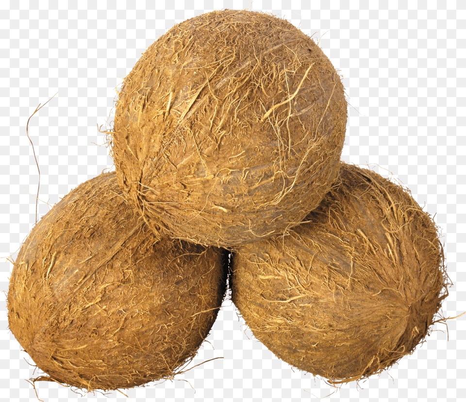 Coconut, Scoreboard Png Image