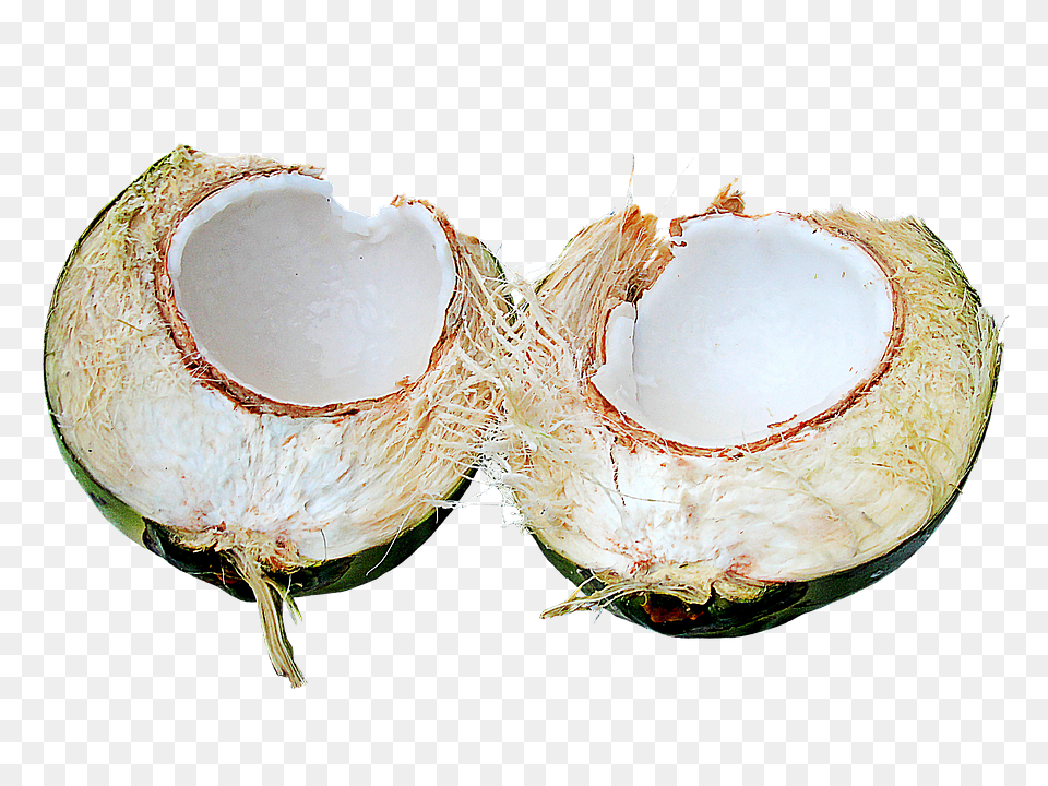 Coconut Food, Fruit, Plant, Produce Png
