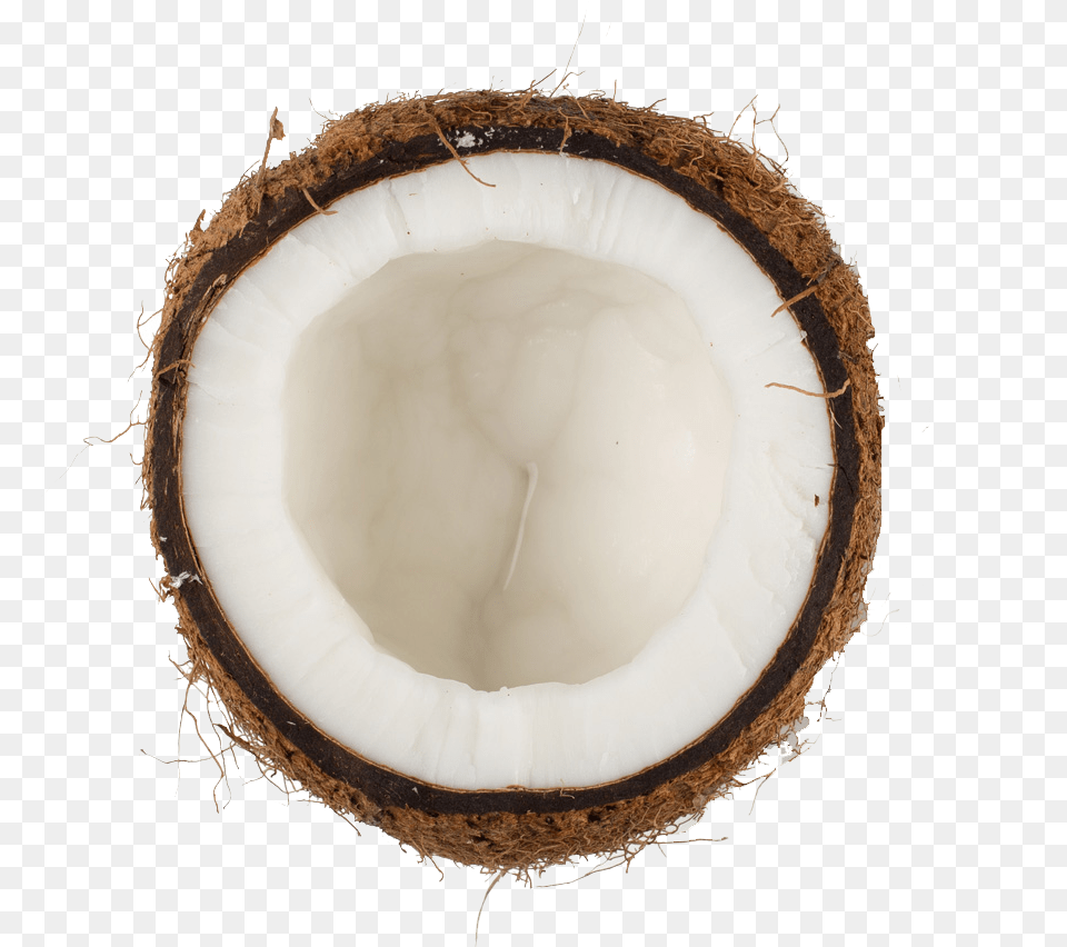 Coconut, Food, Fruit, Plant, Produce Free Png
