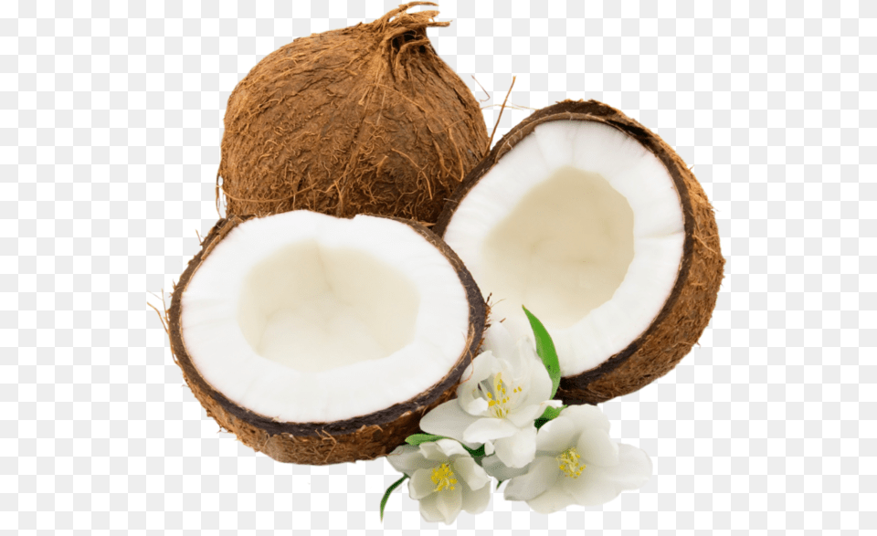 Coconut, Food, Fruit, Plant, Produce Png Image