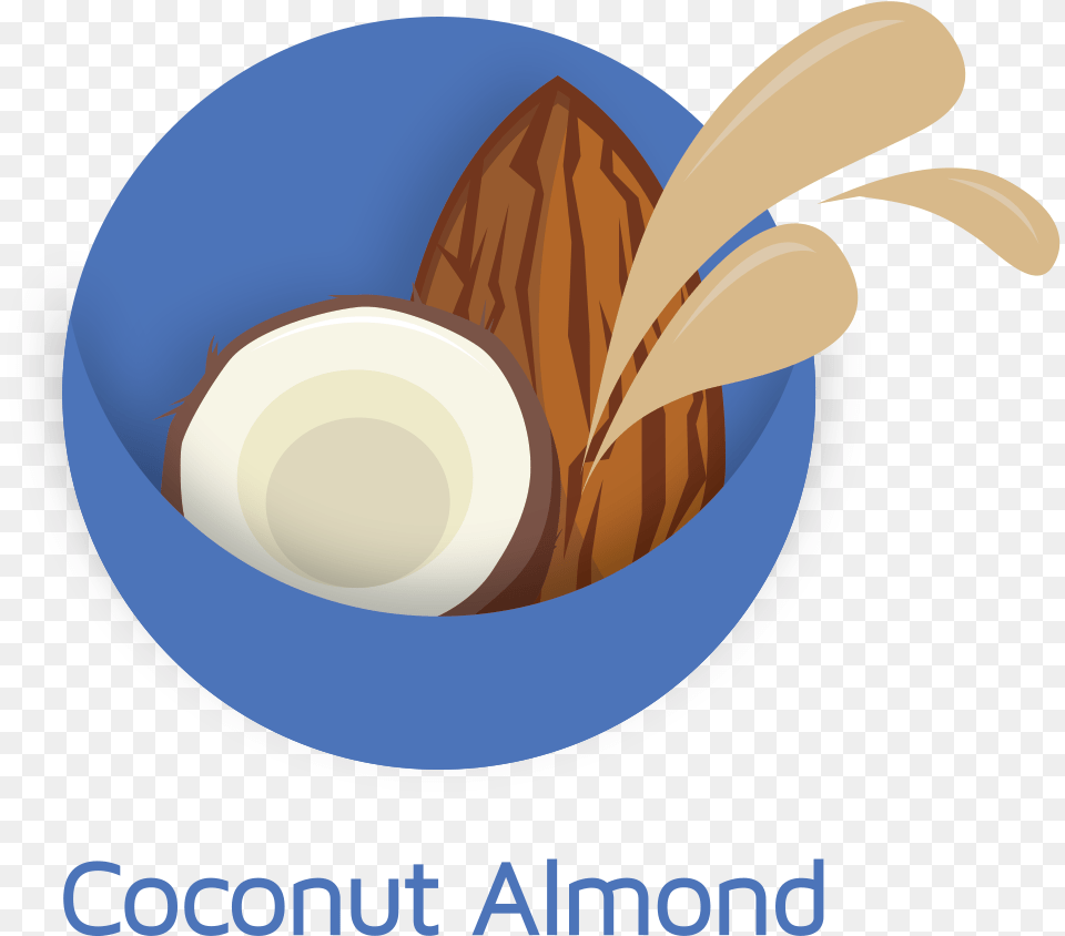 Coconut Almond Icon, Food, Fruit, Plant, Produce Free Png Download