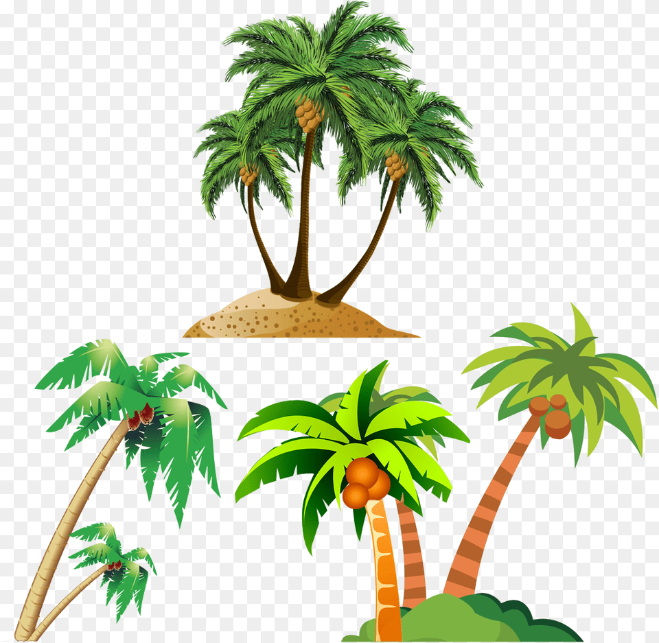 Coconut Arecaceae Royalty Free Transparent Background Coconut Tree Clipart, Vegetation, Plant, Palm Tree, Outdoors Png