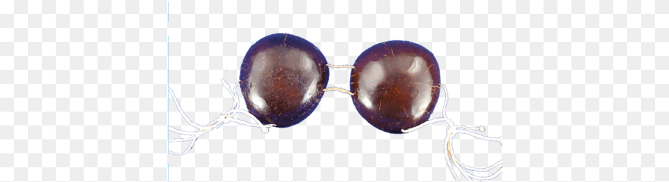 Coconut Bikini Top Tropical Sun Imports Llc Coconut Bikini Top, Accessories, Jewelry, Bead, Gemstone Png Image