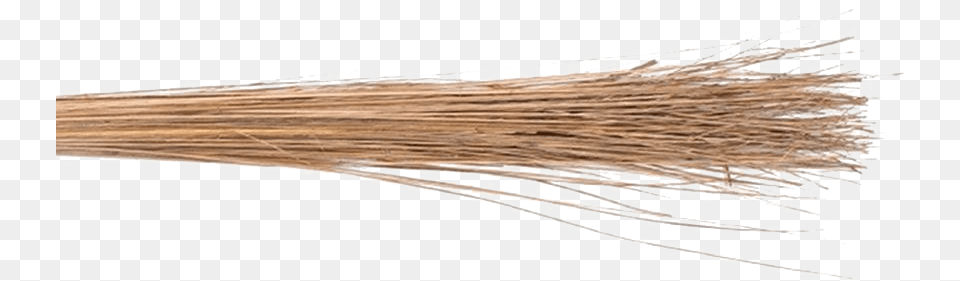 Coconut Broom Transparent Images Plywood Free Png Download