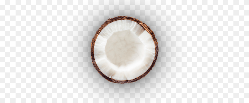 Coconut Circle, Food, Fruit, Plant, Produce Free Transparent Png