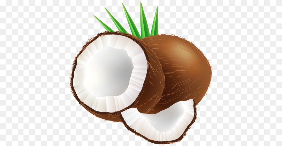 Coconut Clip Art, Food, Fruit, Plant, Produce Png Image