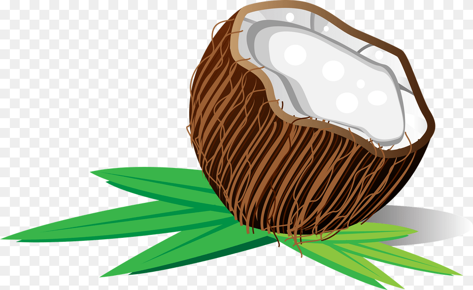 Coconut Clipart, Food, Fruit, Plant, Produce Png Image