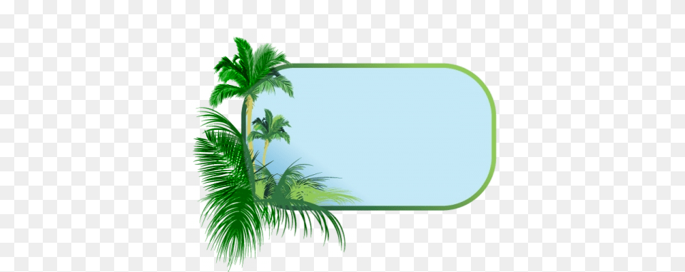 Coconut Clipart Border, Plant, Vegetation, Green, Tree Free Transparent Png