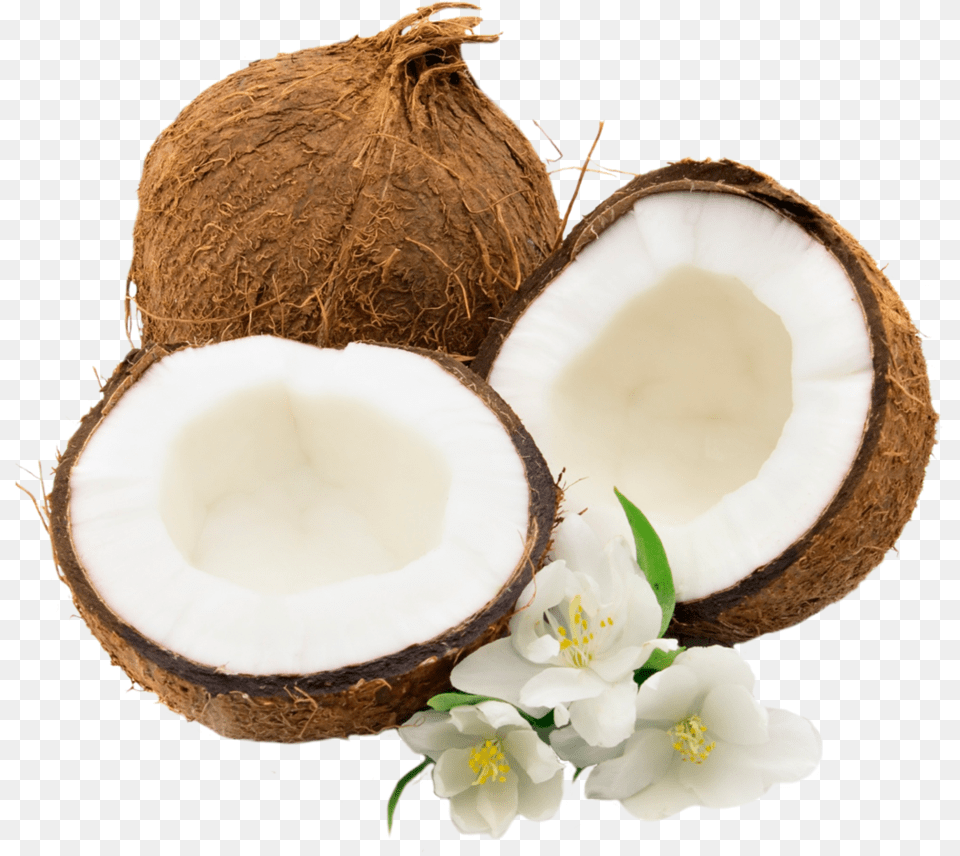 Coconut Clipart Coconut, Food, Fruit, Plant, Produce Png Image