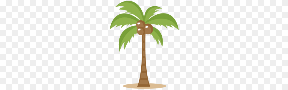 Coconut Clipart Cut, Palm Tree, Plant, Tree, Food Free Png Download