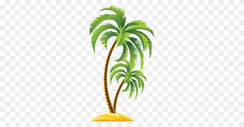 Coconut Clipart Nariyal, Palm Tree, Plant, Tree Free Png