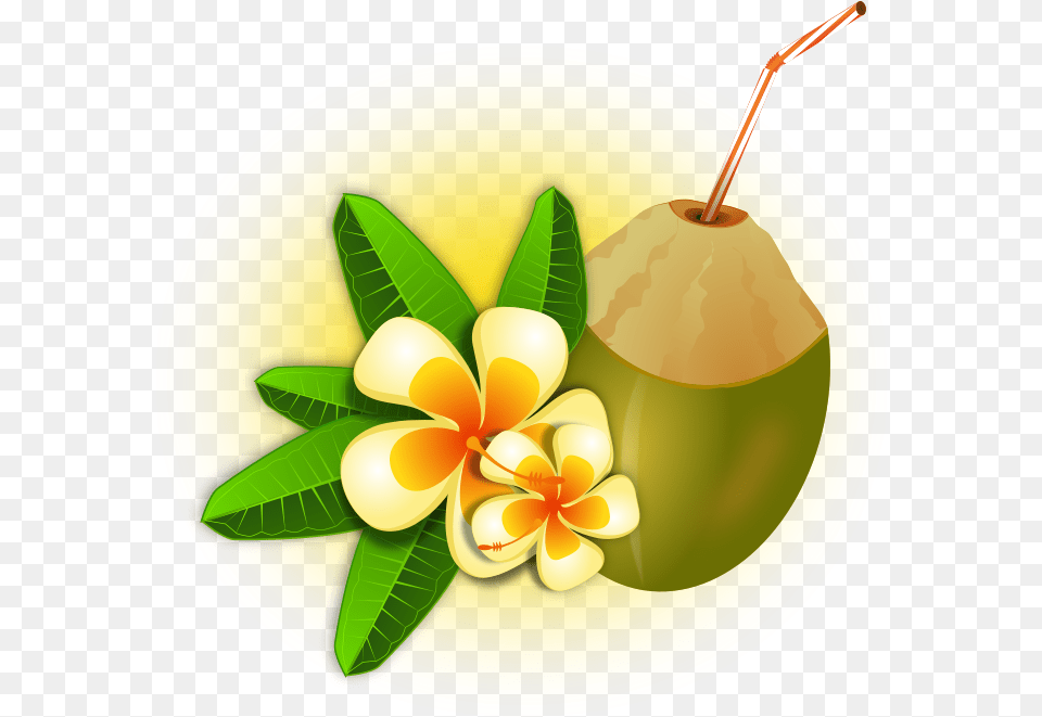 Coconut Cocktail Hawaii, Food, Fruit, Plant, Produce Png Image