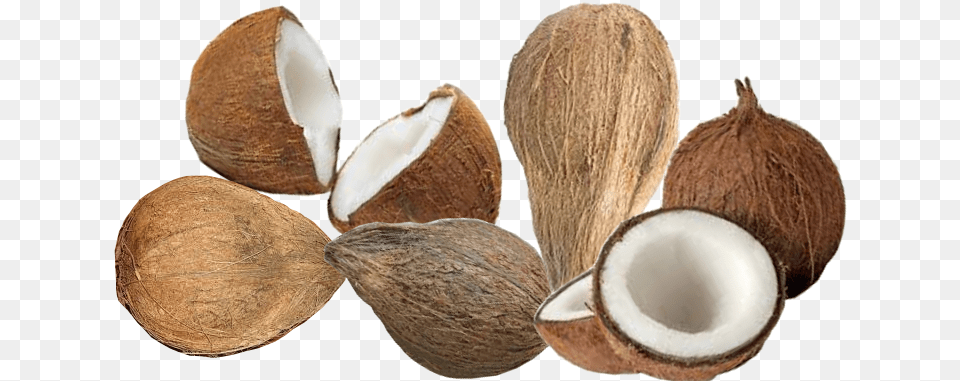 Coconut Coconut Copra, Food, Fruit, Plant, Produce Free Transparent Png