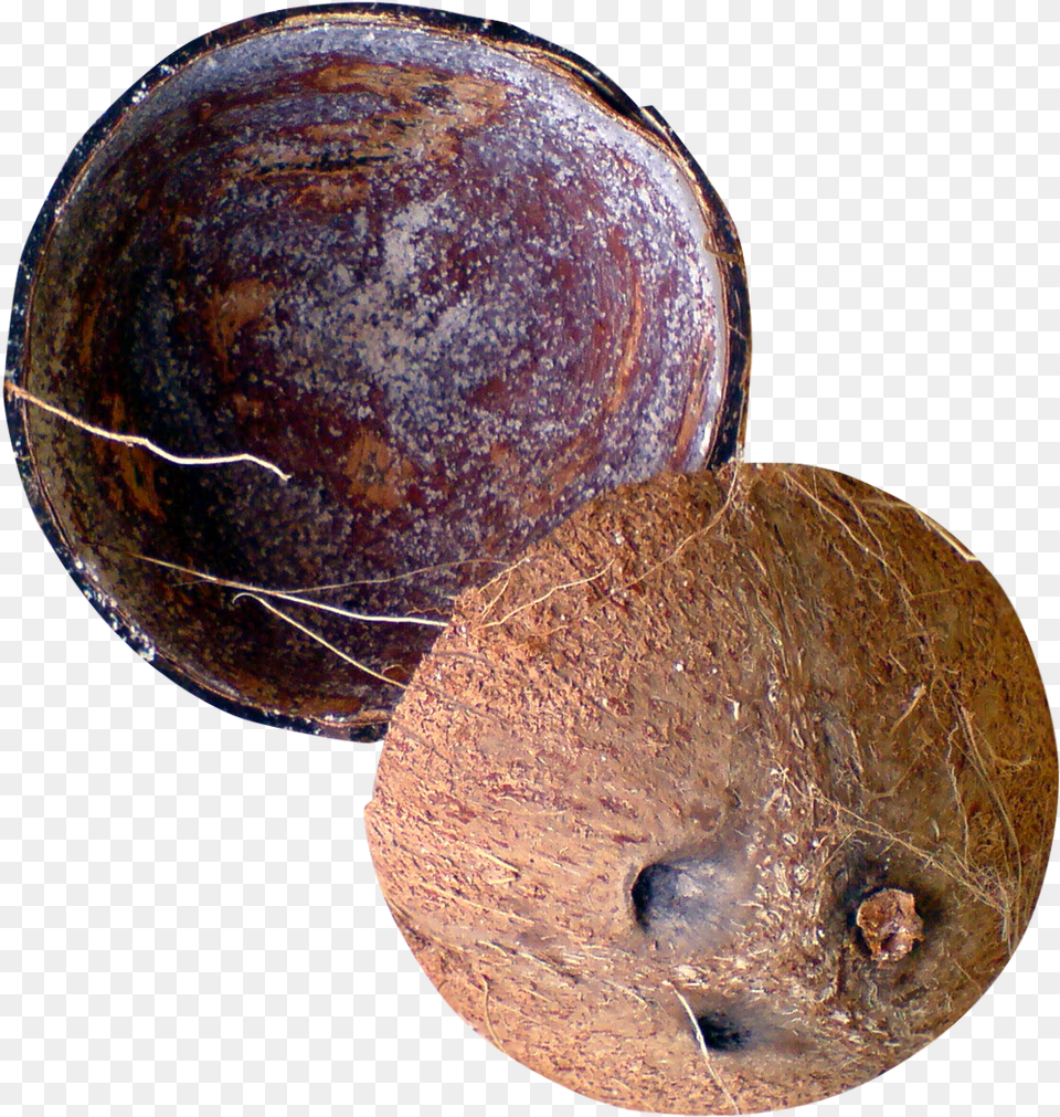 Coconut Coconut Shell, Food, Fruit, Plant, Produce Png