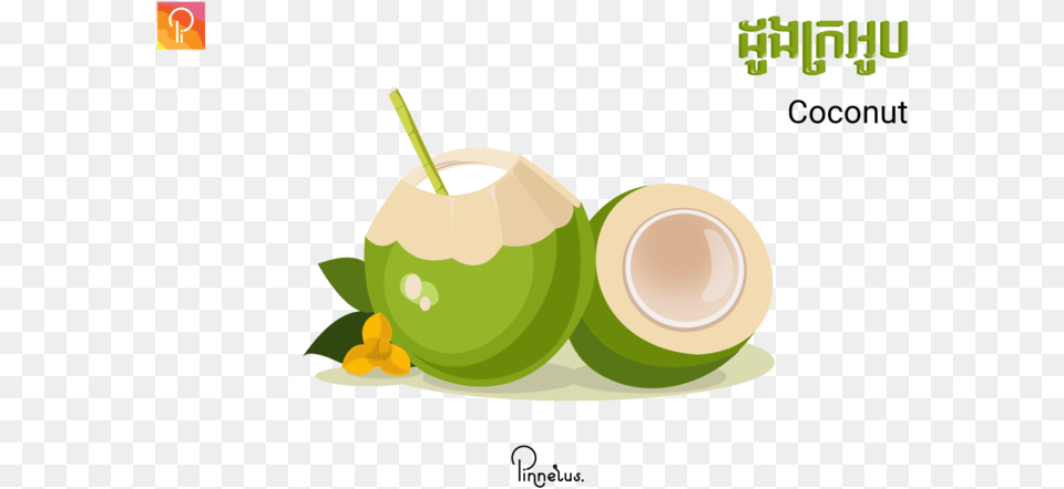 Coconut Coconut Vector Coconut Vector, Food, Fruit, Plant, Produce Png Image