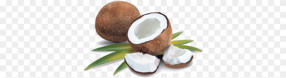 Coconut Cream Amp Pandan Leaves Coconut With Pandan Leaf, Food, Fruit, Plant, Produce Png Image