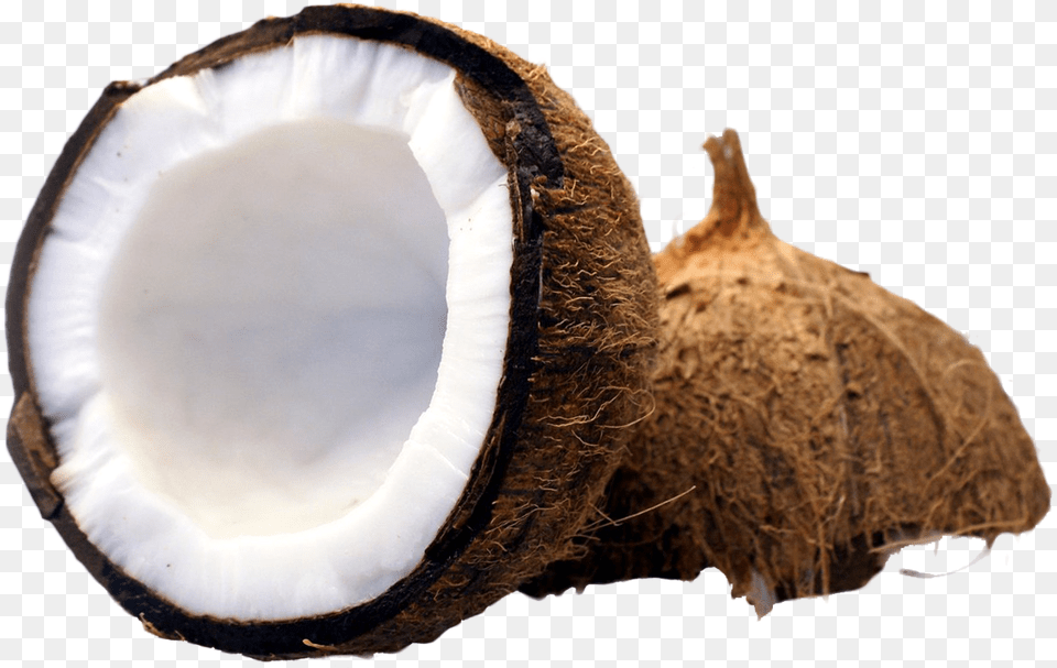 Coconut Cut In Half, Food, Fruit, Plant, Produce Free Png