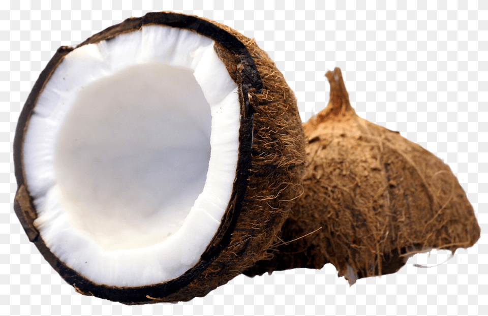 Coconut Cut In Half Image, Food, Fruit, Plant, Produce Png