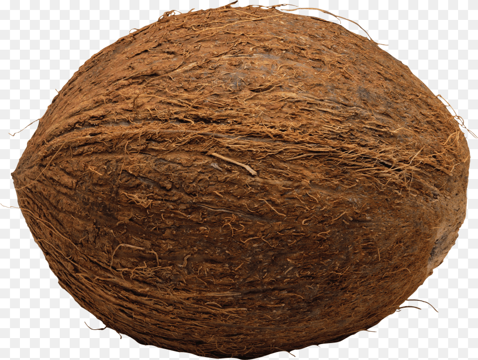 Coconut Delicious Fruit Free Coconut Png