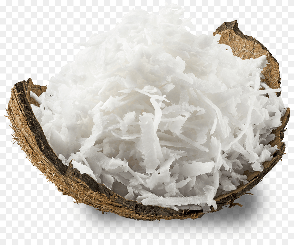 Coconut Design Shell, Food, Fruit, Plant, Produce Png