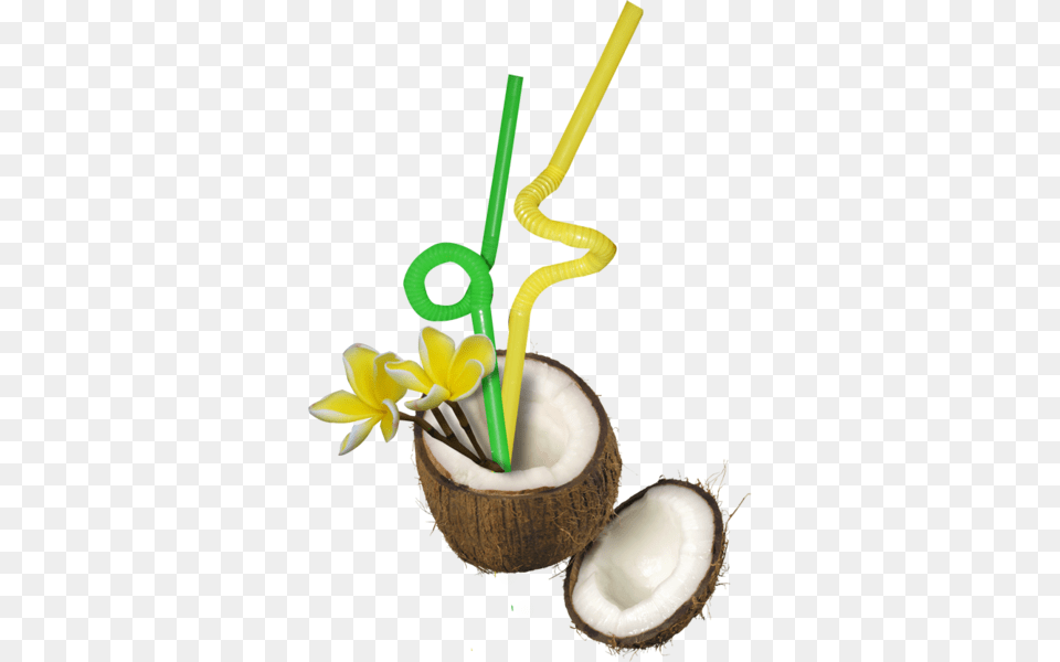 Coconut Drink Coconut, Food, Fruit, Plant, Produce Free Png