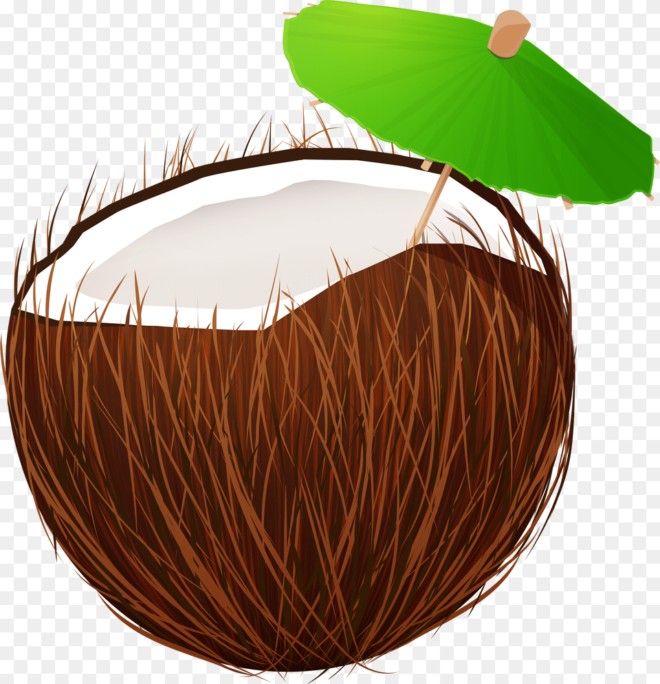 Coconut Drink Transparent Coconut Drink Free Png