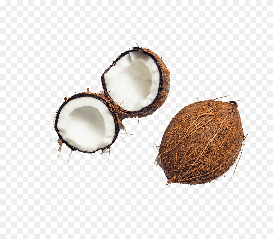 Coconut Transparent Circle, Produce, Plant, Food, Fruit Free Png