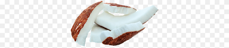 Coconut Fruit Food Coconut Coconut Coconut Piece Of Coconut, Plant, Produce, Diaper Png Image
