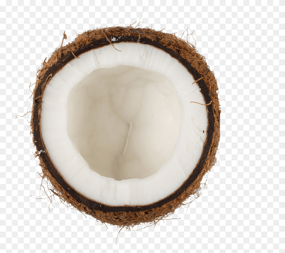 Coconut Hd, Food, Fruit, Plant, Produce Png