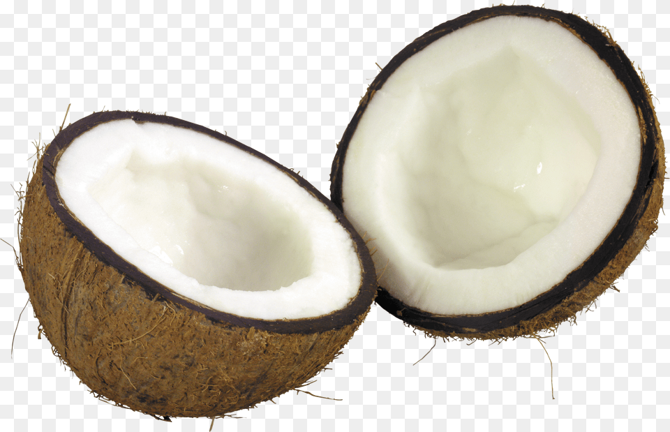 Coconut Png Image