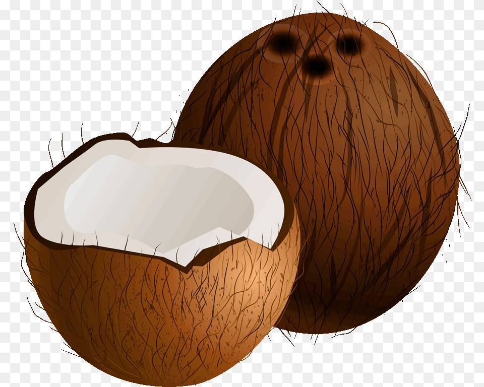 Coconut Image Clip Art Picture Of Coconut, Produce, Food, Fruit, Plant Png