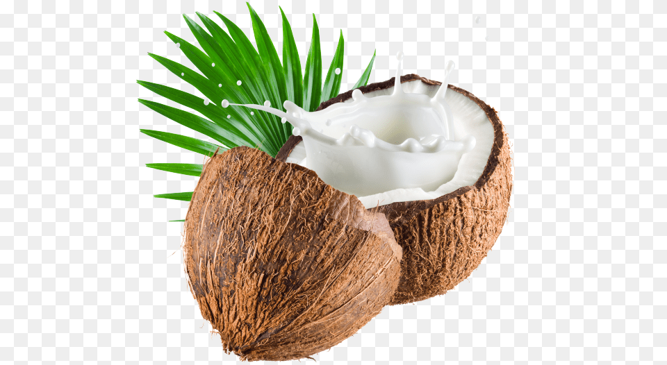 Coconut Image Coconut Milk, Food, Fruit, Plant, Produce Free Png Download