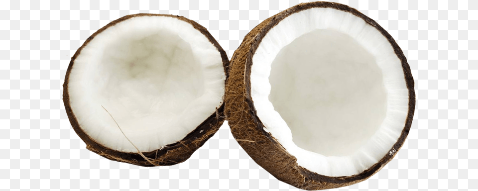 Coconut Image Elongtress Fancy Oil Hair Growth Enhancer Coconut, Food, Fruit, Plant, Produce Free Png Download