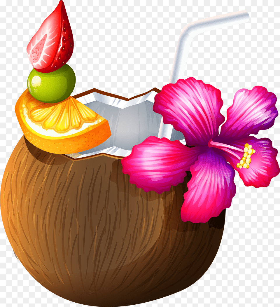 Coconut Images Free Png