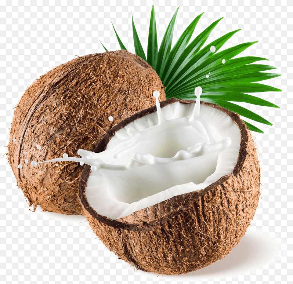 Coconut Images Background Coconut, Food, Fruit, Plant, Produce Free Png