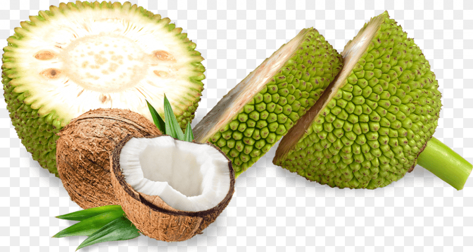 Coconut Jackfruit, Food, Fruit, Plant, Produce Free Png