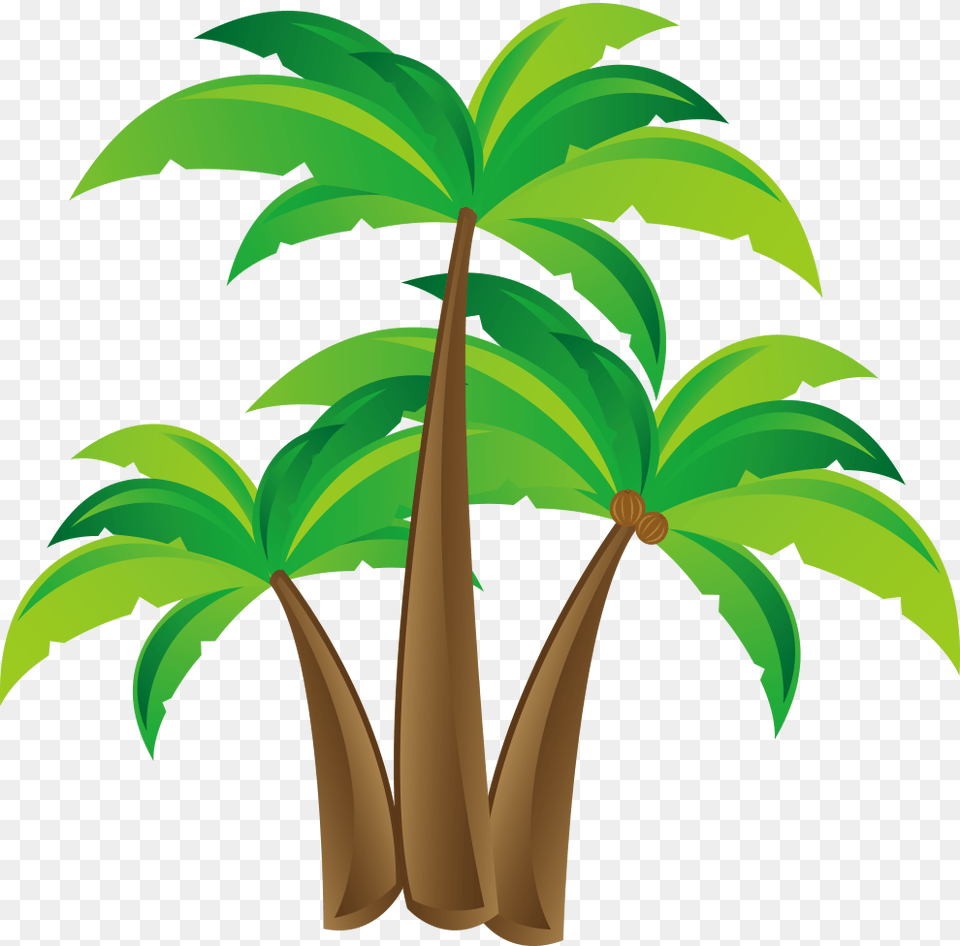 Coconut Juice Transparent, Palm Tree, Plant, Tree, Leaf Free Png Download