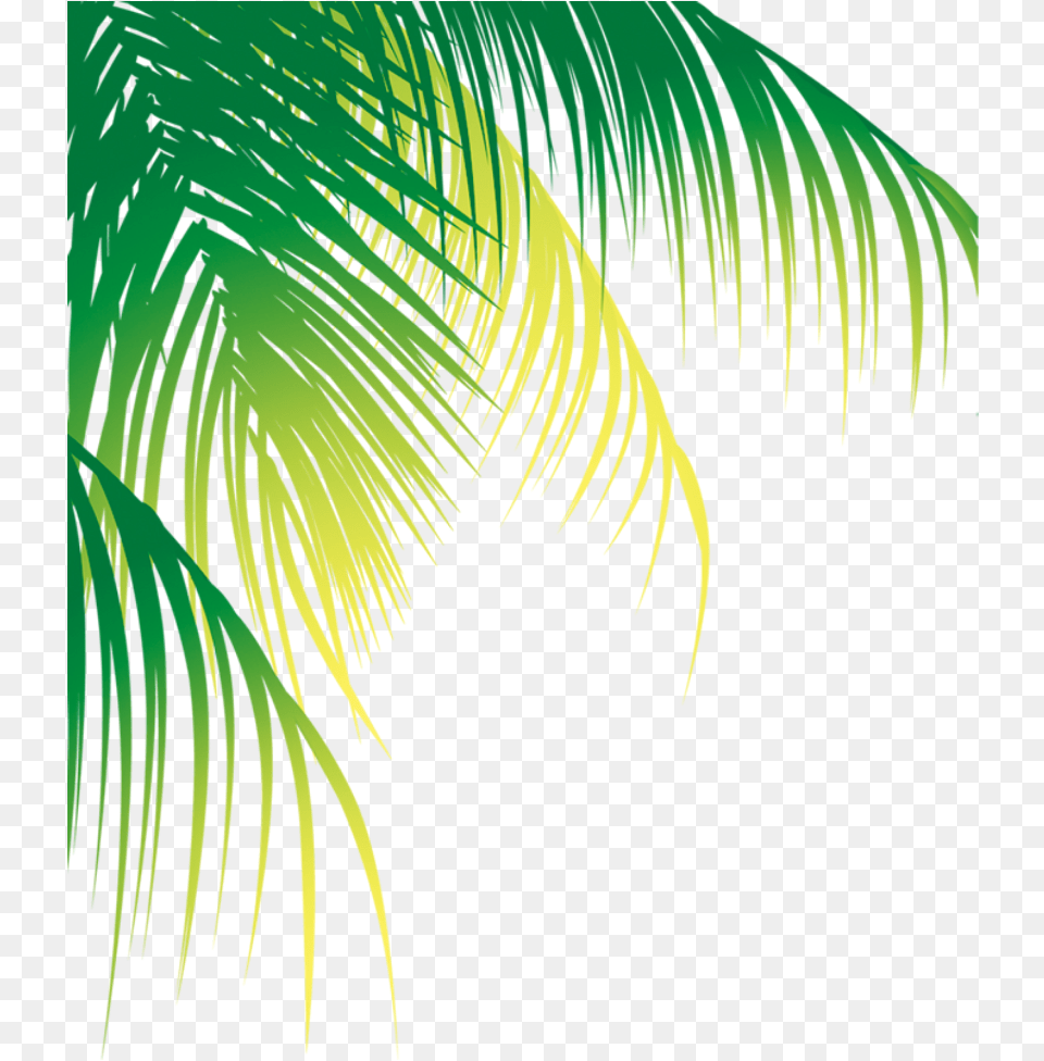 Coconut Leaf Vector Coconut Leaf Vector, Fern, Tree, Plant, Palm Tree Free Png