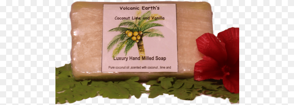 Coconut Lime Vanilla Soap Hippeastrum Png