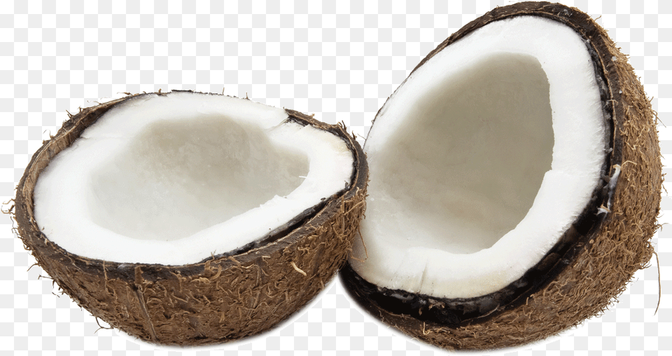 Coconut Machinery Coconut Processing Machine Coconut Milk Machine, Food, Fruit, Plant, Produce Png Image