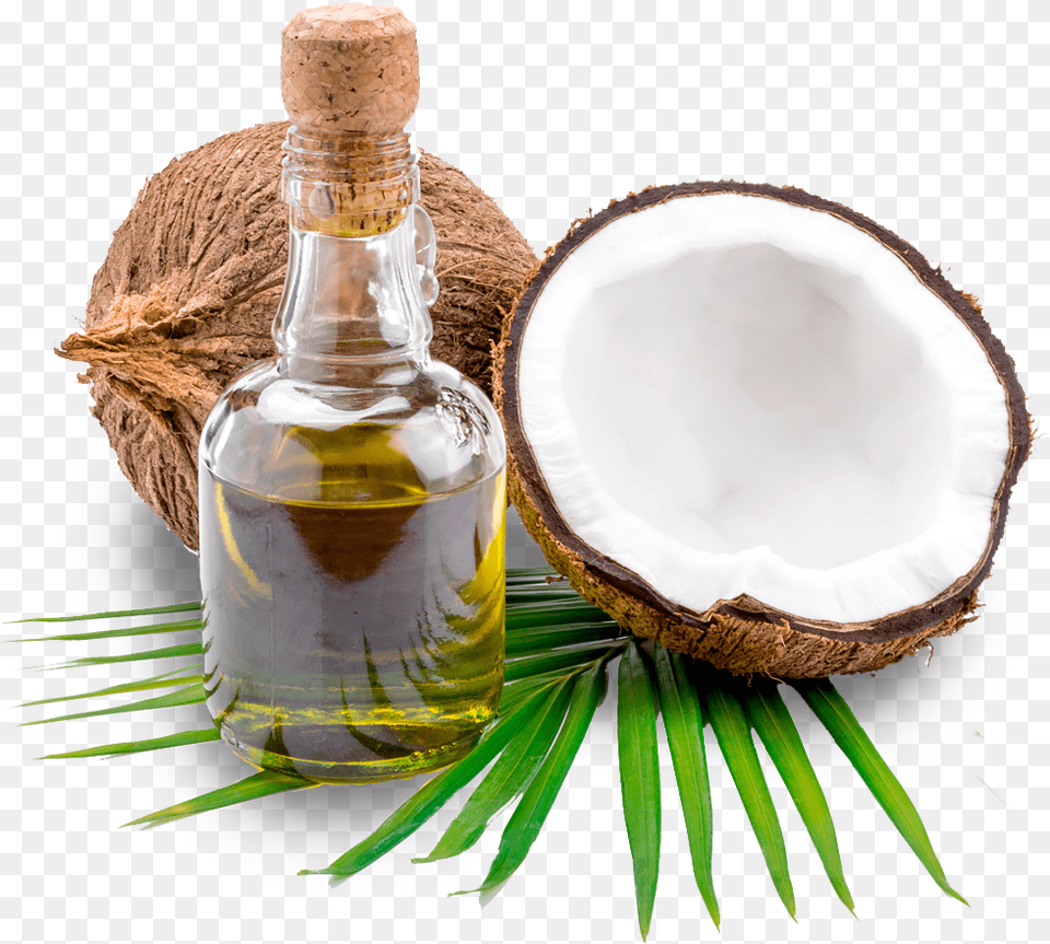 Coconut Oil, Food, Fruit, Plant, Produce Png Image