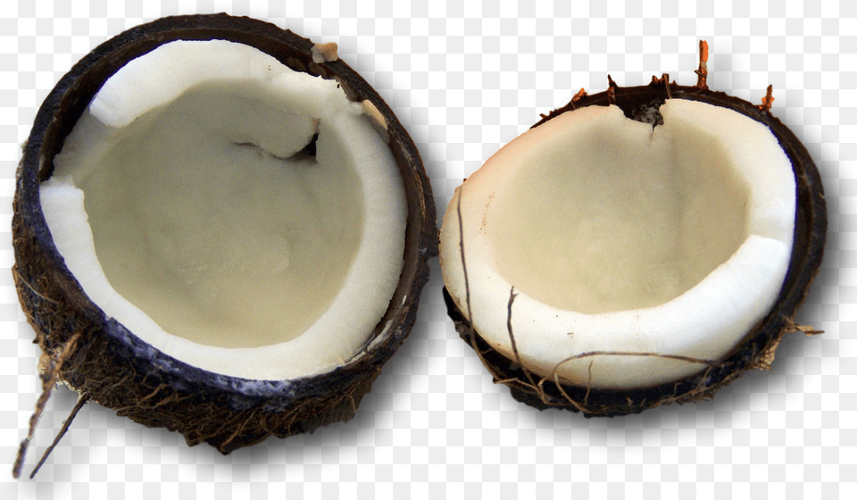 Coconut Oil Hair Treatment For Hair Loss And Dry Damaged Coconut, Food, Fruit, Plant, Produce Png