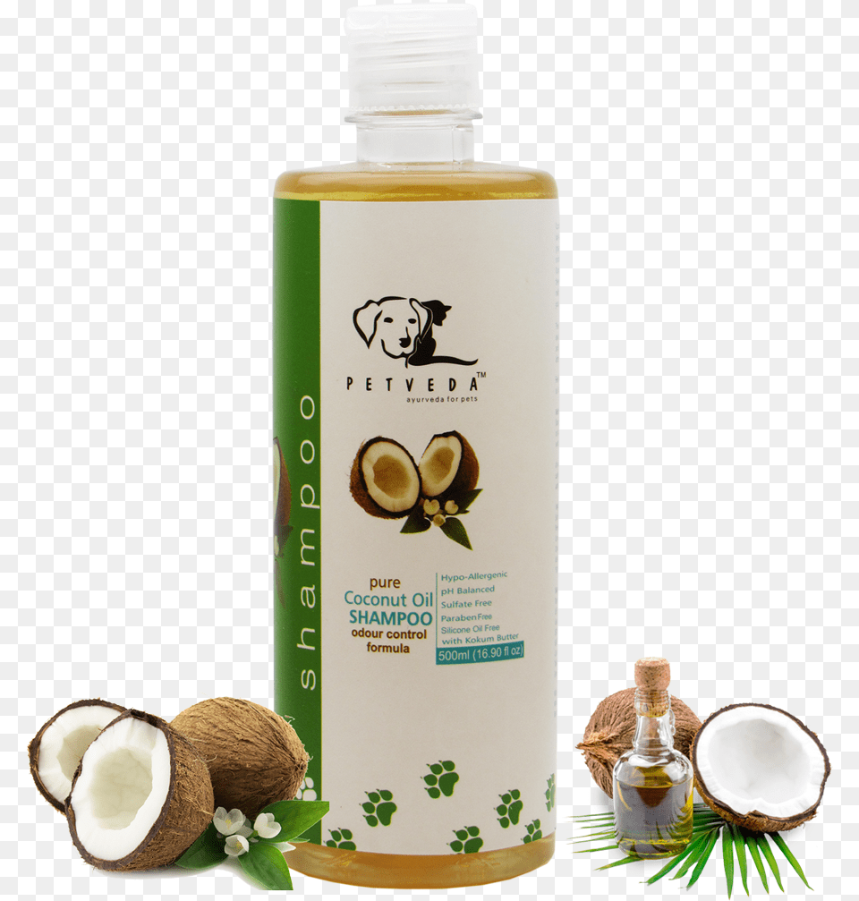 Coconut Oil Shampoo Bottle, Produce, Plant, Fruit, Food Free Png Download