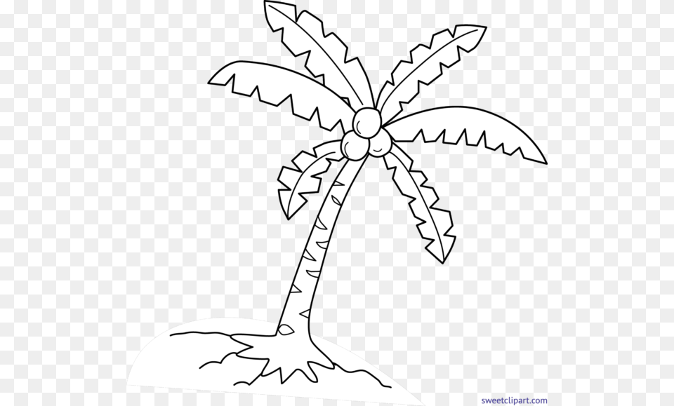 Coconut Palm Lineart, Stencil, Leaf, Plant, Animal Png