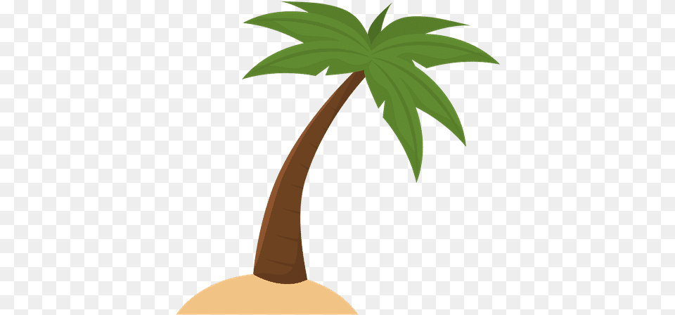 Coconut Palm Palm Tree With Suitcase, Plant, Palm Tree, Leaf, Food Png
