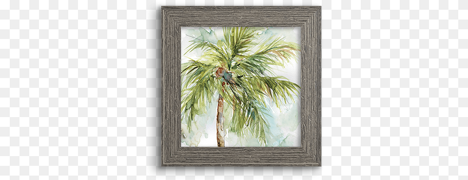 Coconut Palm Palm Trees, Palm Tree, Plant, Tree, Art Free Transparent Png