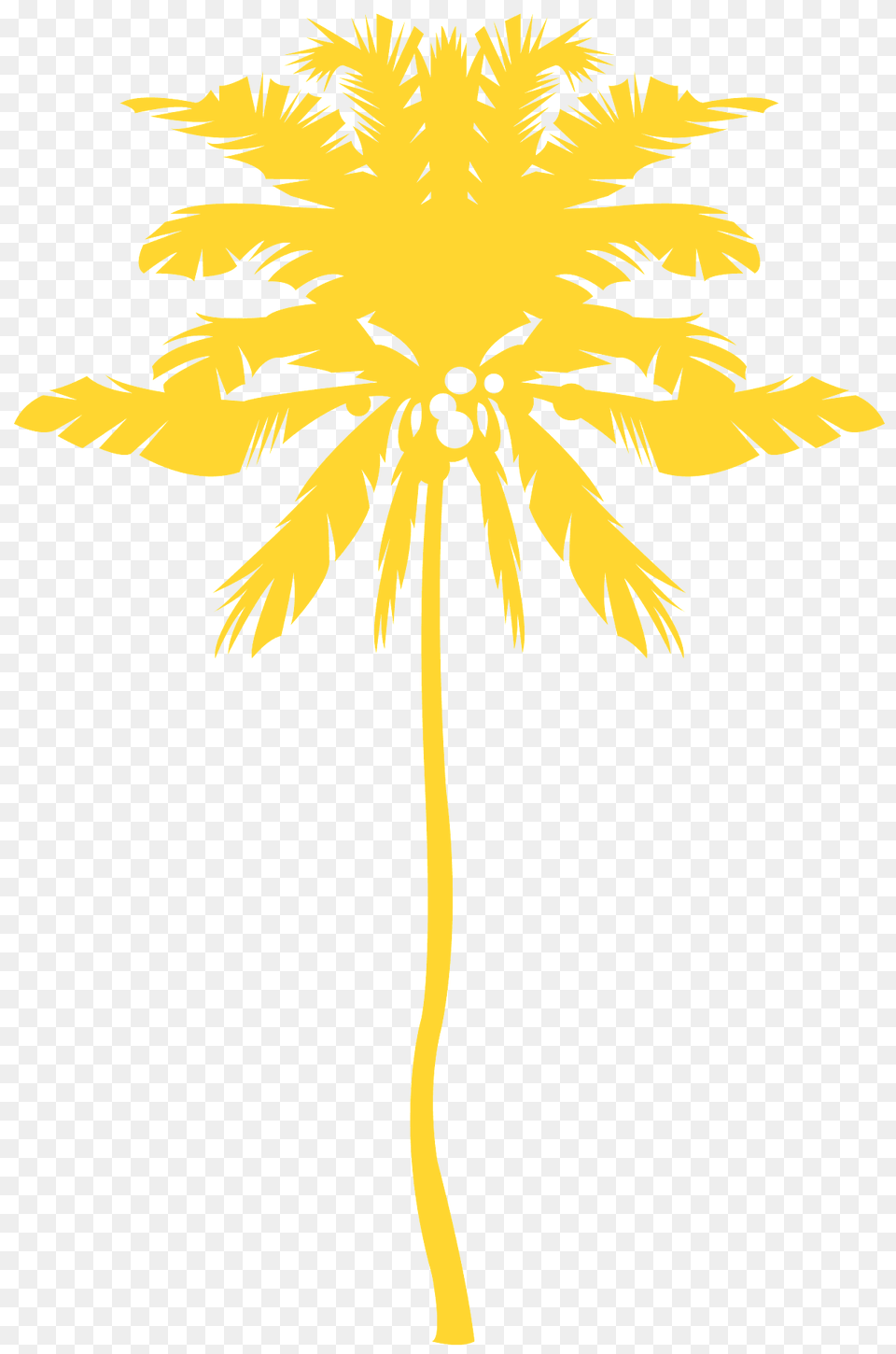 Coconut Palm Silhouette, Palm Tree, Plant, Tree, Animal Png