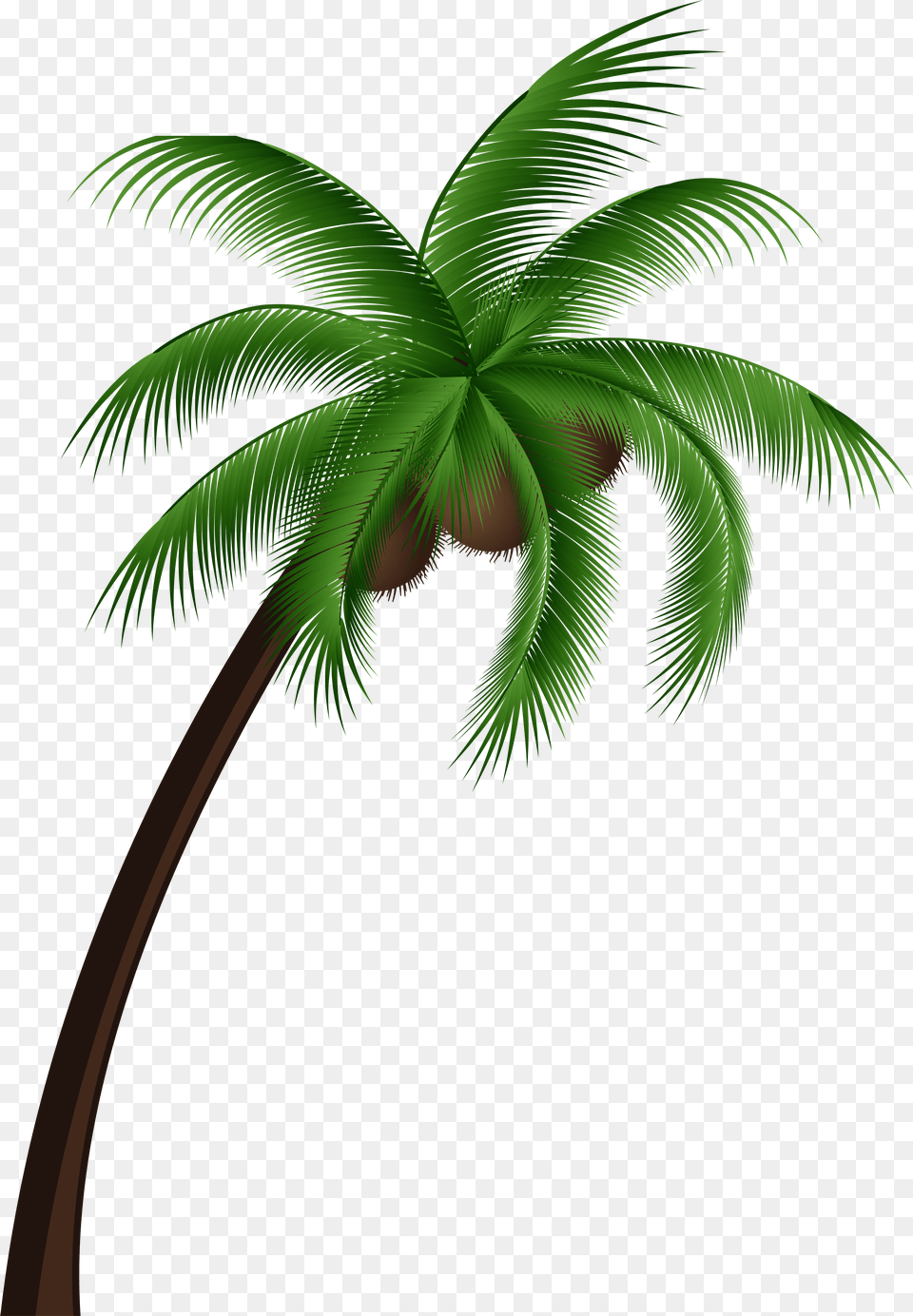 Coconut Palm Tree Clip Art, Gray Free Png Download