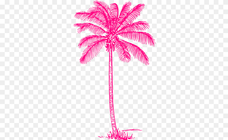 Coconut Palm Tree Hot Pink Clip Art Vector Tall Tree Clipart Black And White, Palm Tree, Plant, Animal, Bird Free Png Download